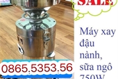 Máy xay đậu nành công nghiệp DN-750W