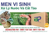 Men vi sinh dạng bột chuyên cắt tảo độc cực mạnh